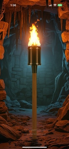 My AI Flashlight screenshot
