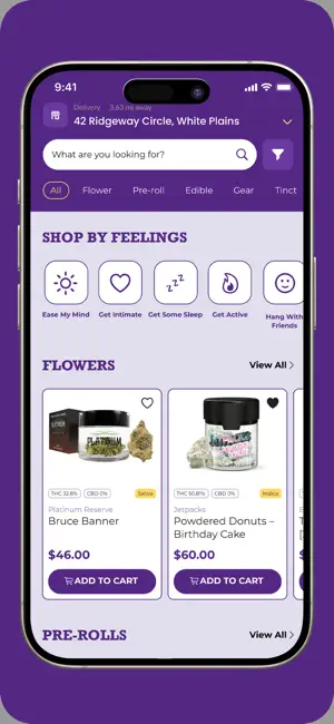 Purple Owl screenshot 2
