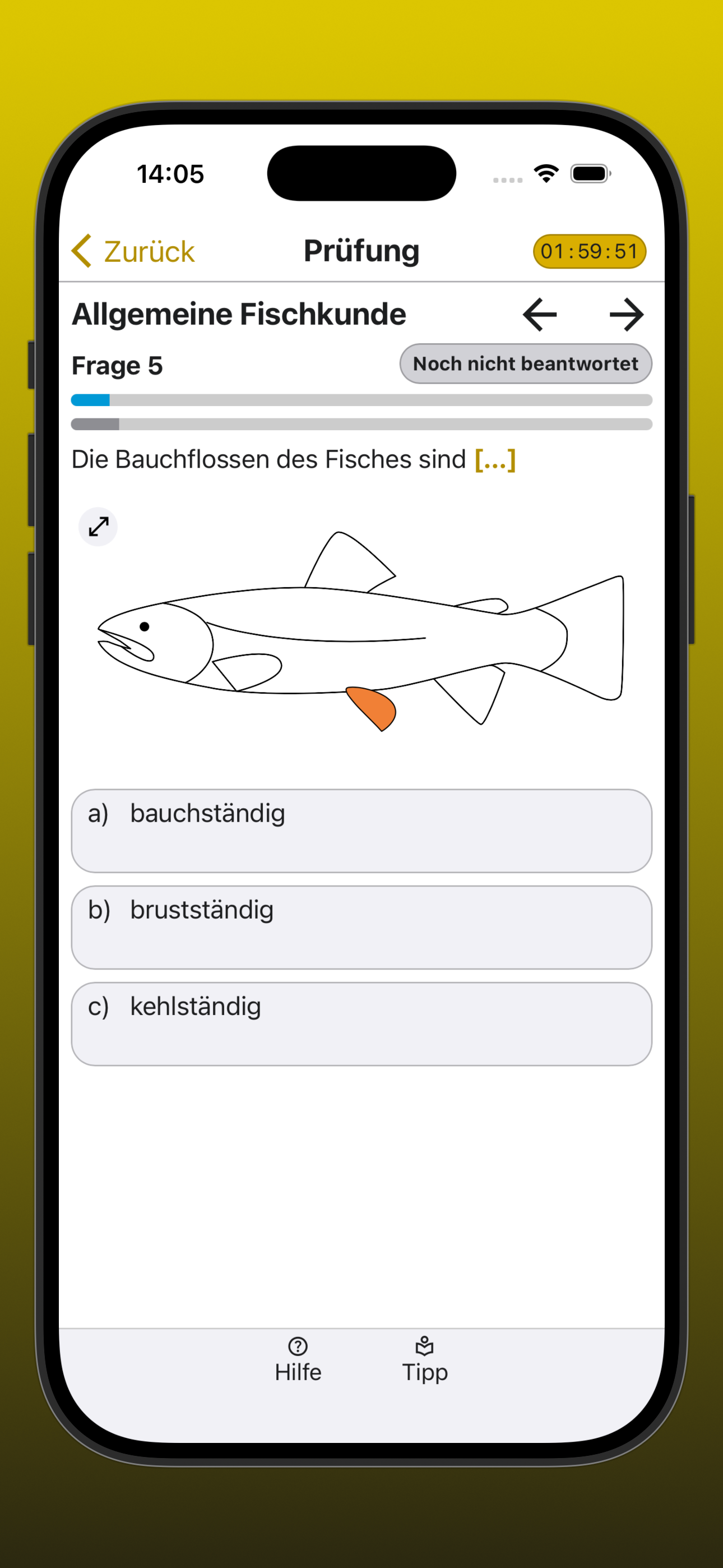 Fischer Lernfragen BW screenshot 7