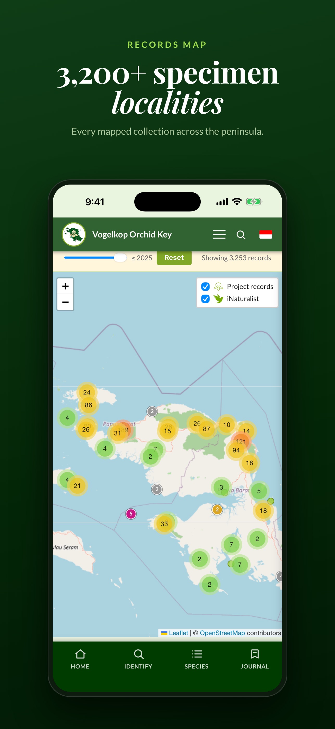 Screenshot 5 of Vogelkop Orchid Key