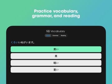 JLPT Drills iPad screenshot