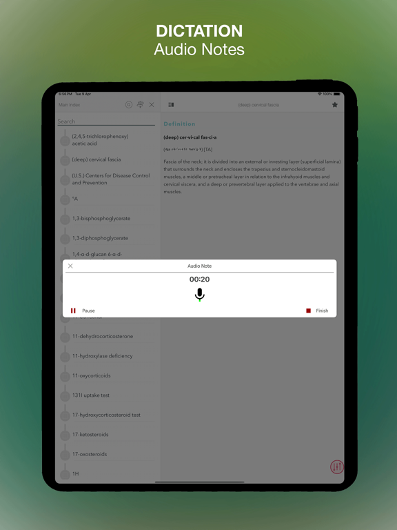 Stedman's Medical Dictionary N iPad screenshot 8 - Medical app