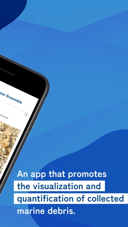 Clean Ocean Ensemble