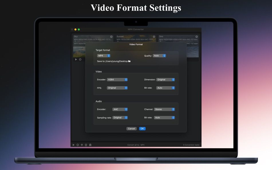 #3. MP4 Converter-Resize (macOS) От: 崴 杨