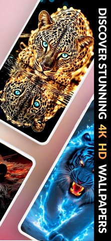 WildLeopard 4K Wallpapers screenshot