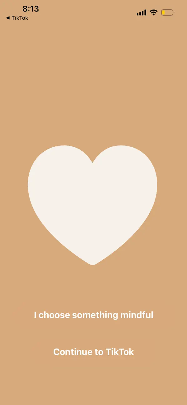 #4. Replace App (iOS) By: Maryam Farhadi