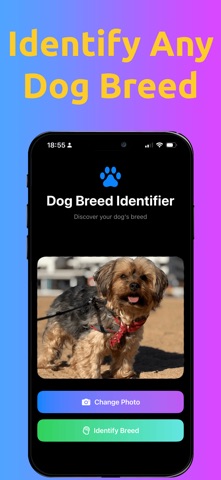 Dog Breed Identifier AI Scan iPhone screenshot