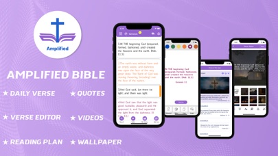 Amplified Bible - offline Screenshot