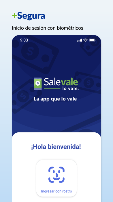 Salevale Screenshot
