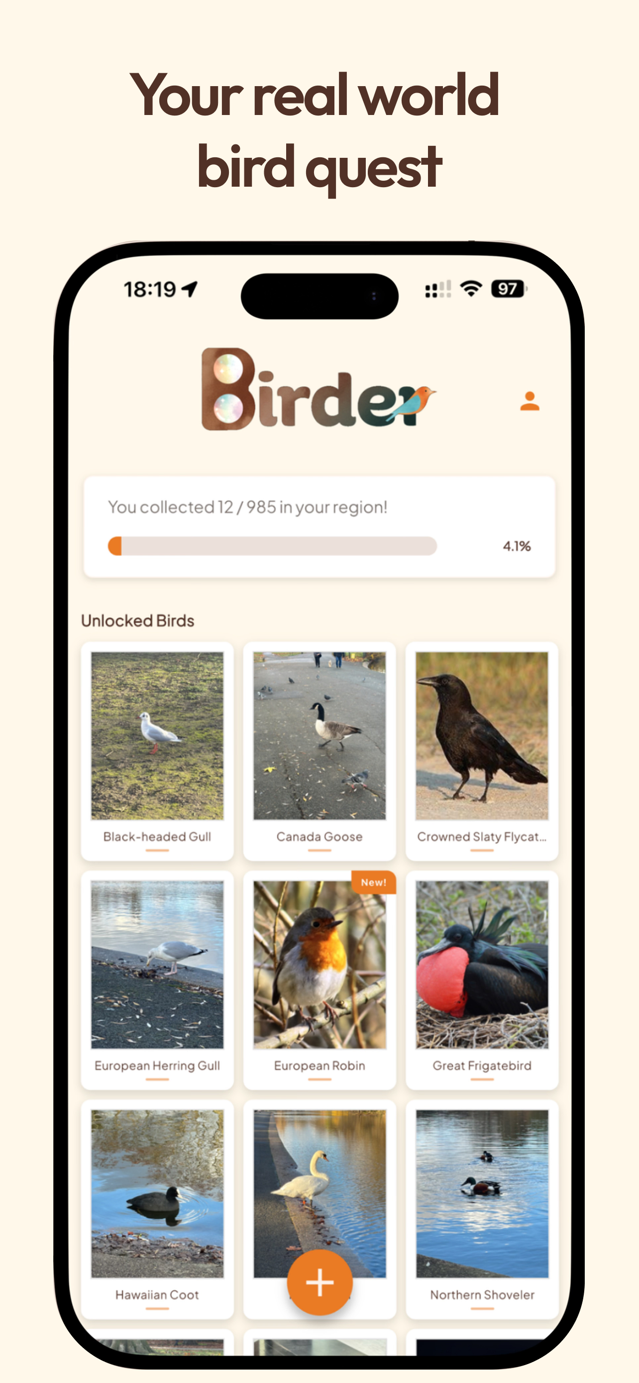 Birder - Bird Identifier Game