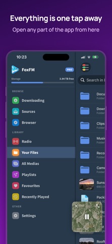 FoxFM Browser & MP3 Player iPhone screenshot 1