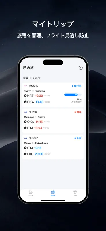 NextFly-ライブフライトトラッカー screenshot 7 of 7