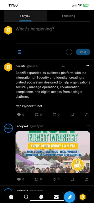 BWire screenshot 2