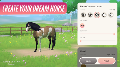 Equestrian the Game Screenshot