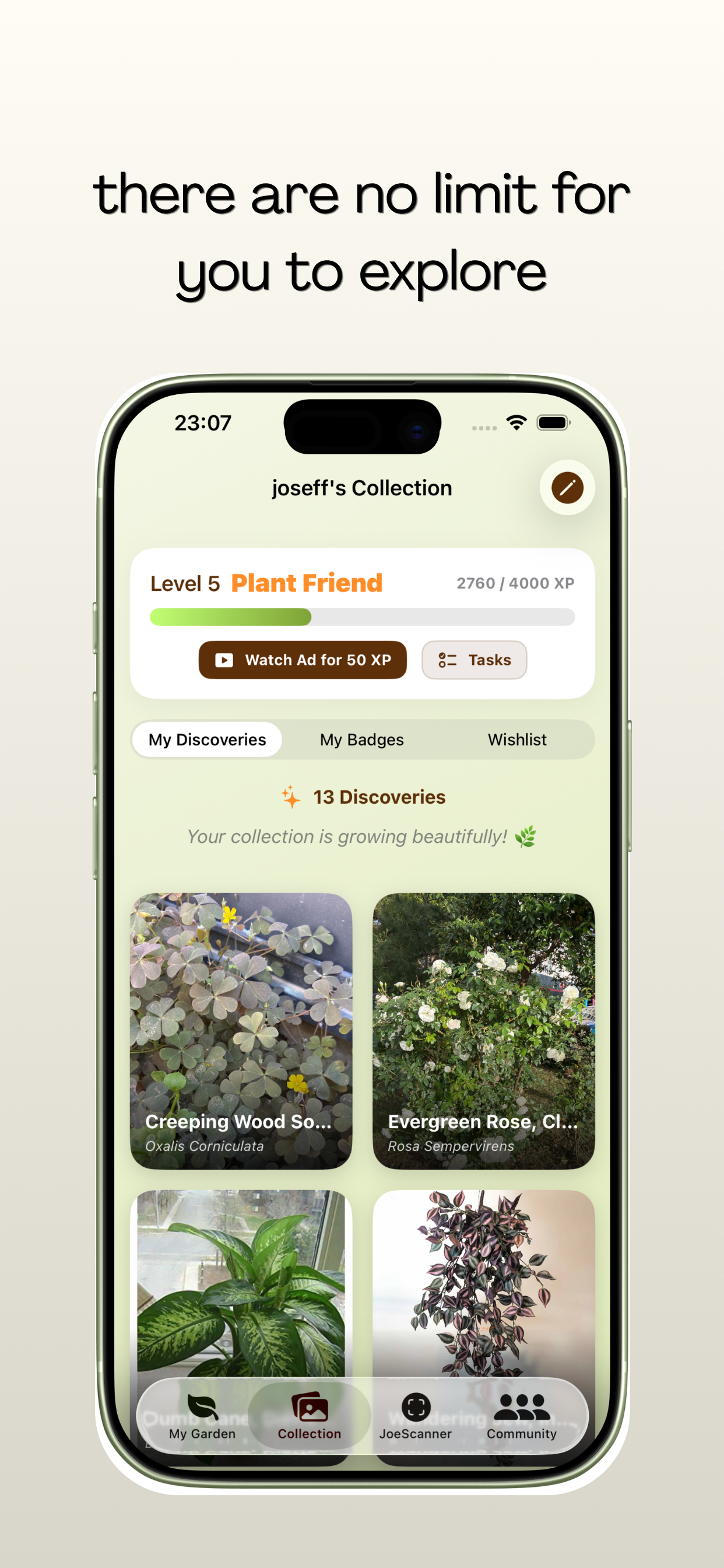 plantjoe