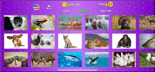 Animal picture games for kids iPhone screenshot