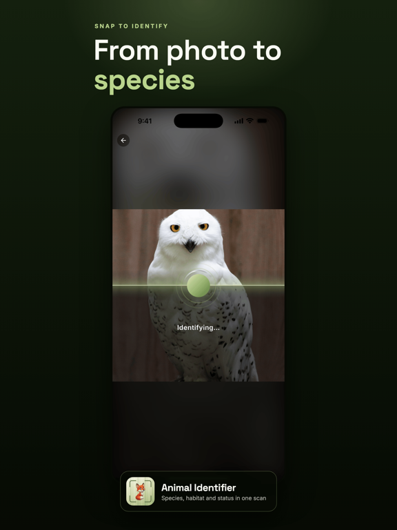 Animal Identifier: Wildlife ID iPad screenshot