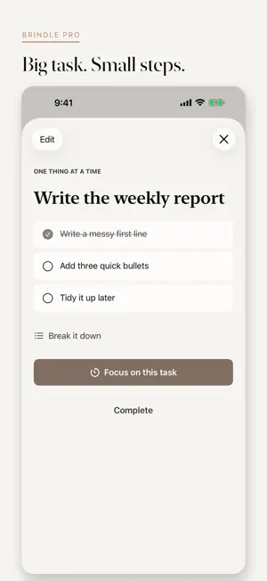 Brindle: ADHD Brain Dump screenshot 3