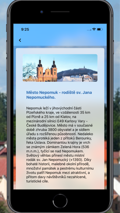 Nepomuk Screenshot