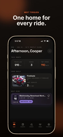 TorqueN screenshot
