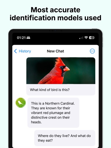 Bird Identifier - Birding ID iPad screenshot