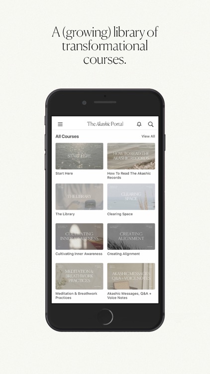 The Akashic Portal