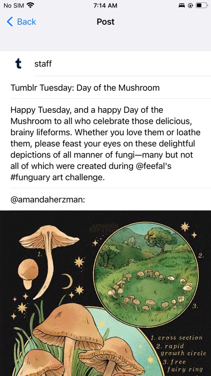 Downpour - Tumble Dumble