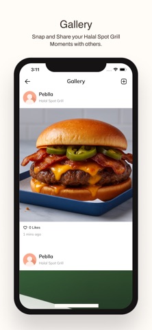 Halal Spot Grill screenshot