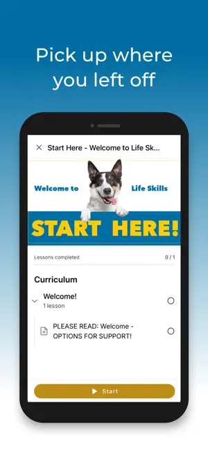 McCann Dogs screenshot 3