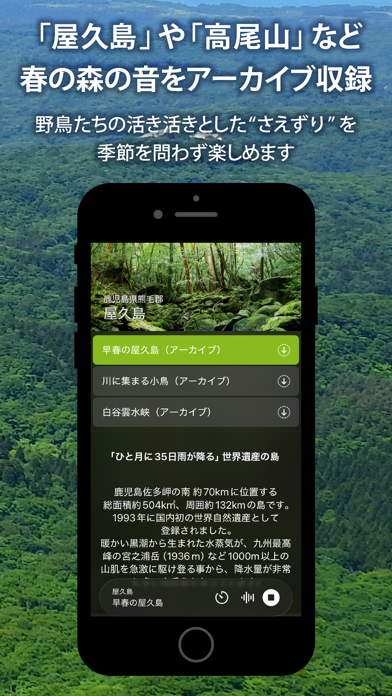 Forest Notes –ライブで聴く森の自然音のスクリーンショット