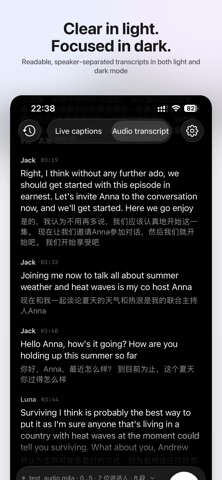 Lorqa - Local AI Translator screenshot 4