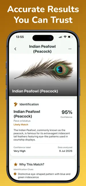 Feather Identifier: Scan AI screenshot 4