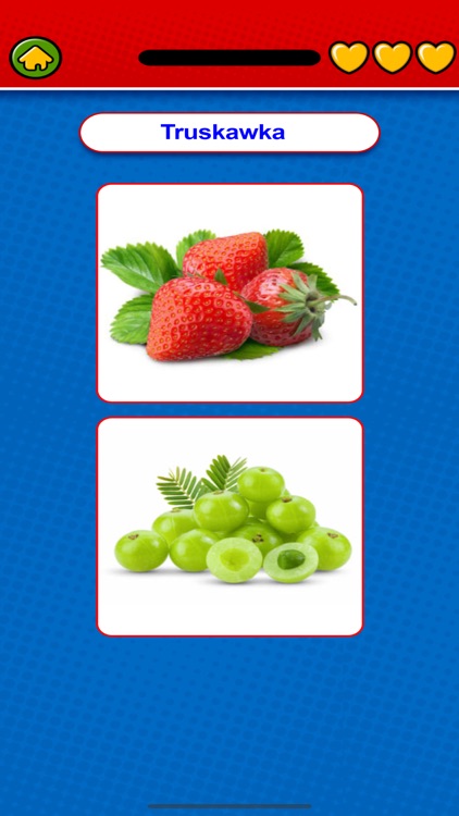 Game to learn Polish Voca