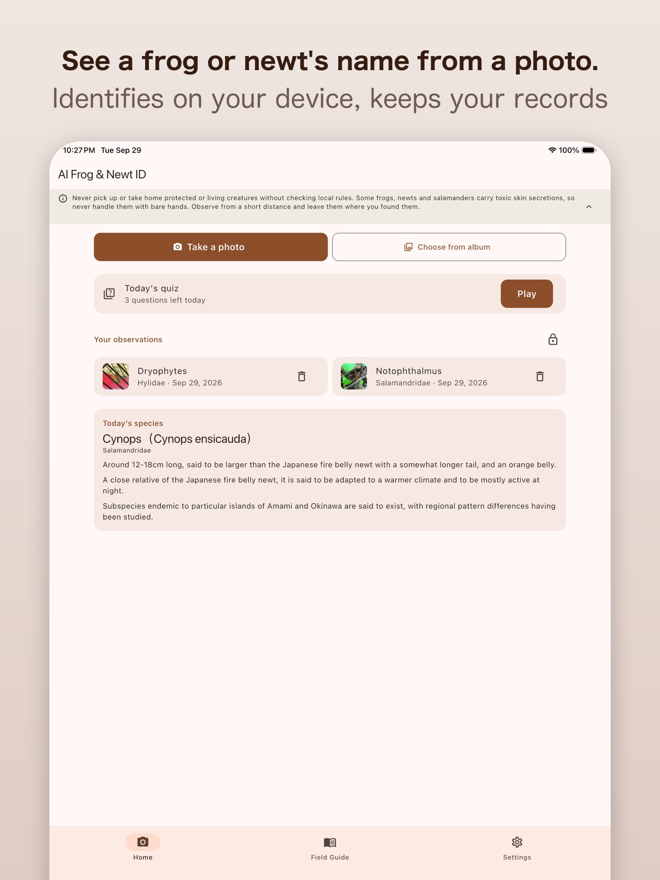 Screenshot 6 of AI Frog & Newt Identifier