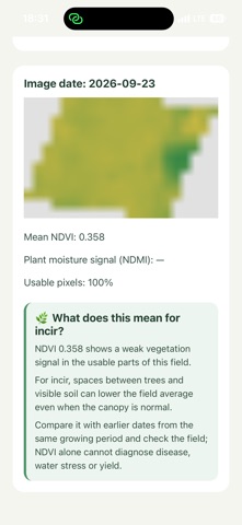 Umay Ana Screenshot 7 of 7
