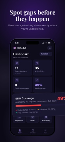 Schdeuli screenshot