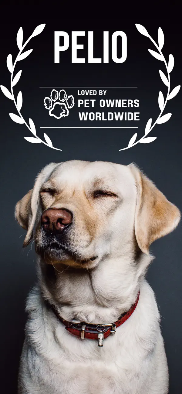 Screenshot #1 pour Pet Care - Pelio