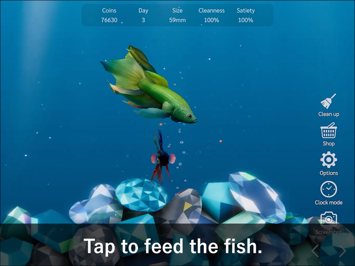 Bettarium - Betta Fish Tank