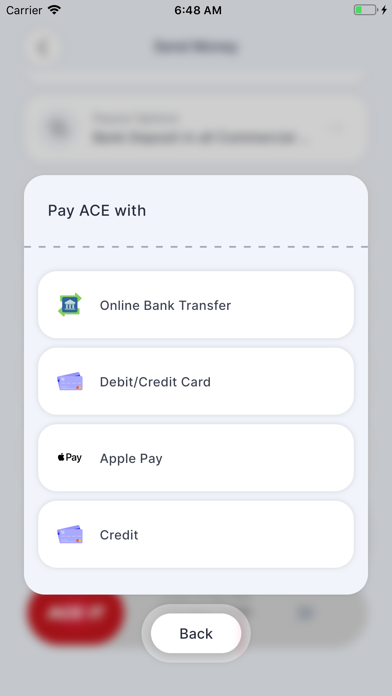 ACE Money Transfer Screenshot