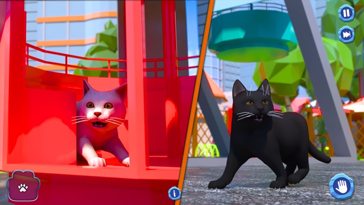 Cute kitty Cat lost Big City