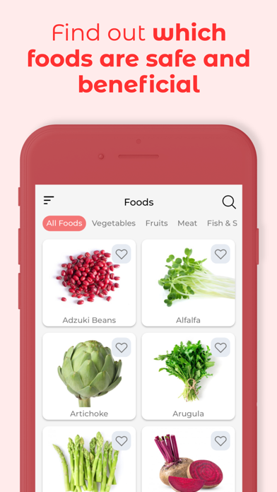 Pregnancy Diet: Recipes, Foods Screenshot