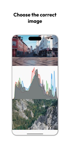 Photo Histogram Game screenshot