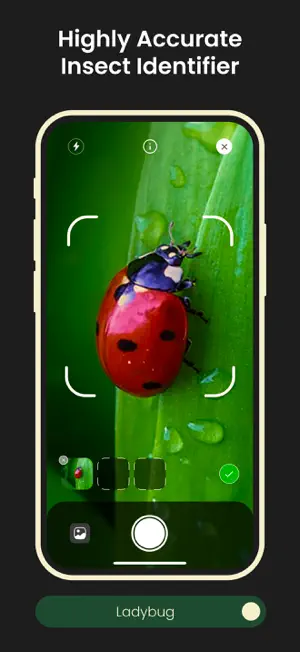 Insect Bug Identifier & Finder screenshot 2