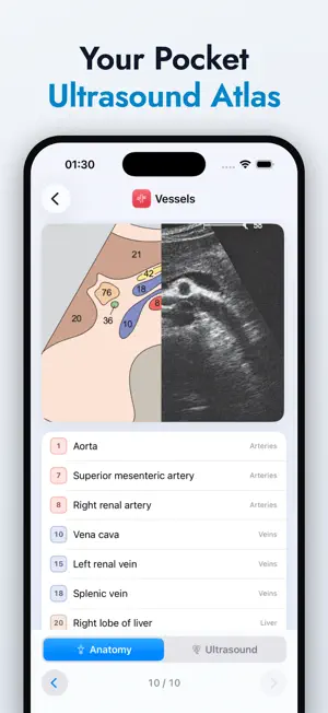 Ultrasound Anatomy Atlas screenshot 1
