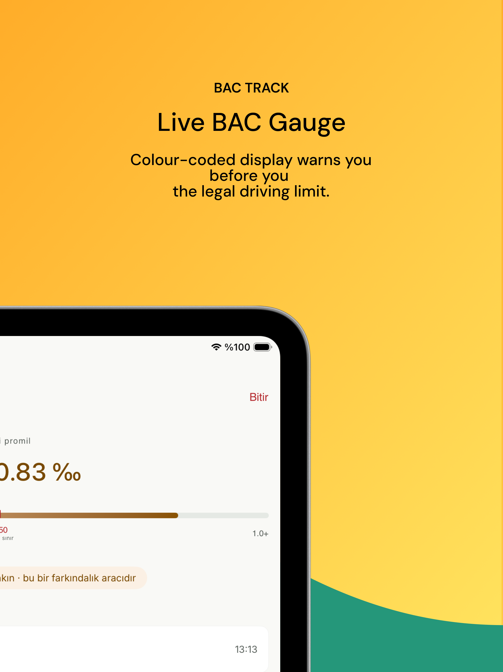 PromilMeter: BAC Tracker