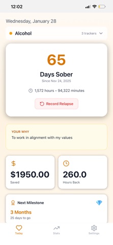 SoberStreakAA Screenshot 1 of 3