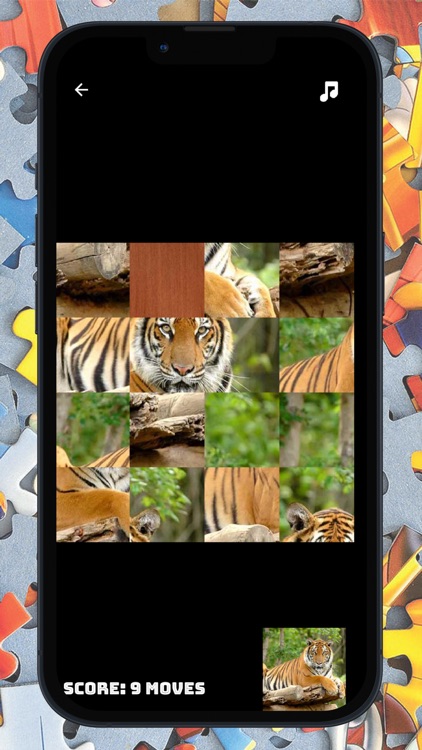 Jigsaw puzzle block & riddle