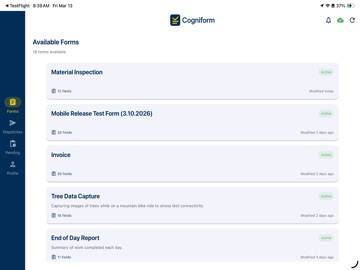 Cogniform iPad screenshot