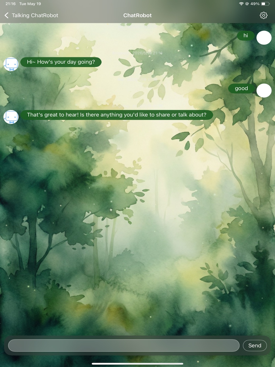 iPad screenshot