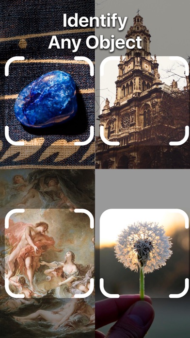 Lens Scan: Identify Anything Screenshot